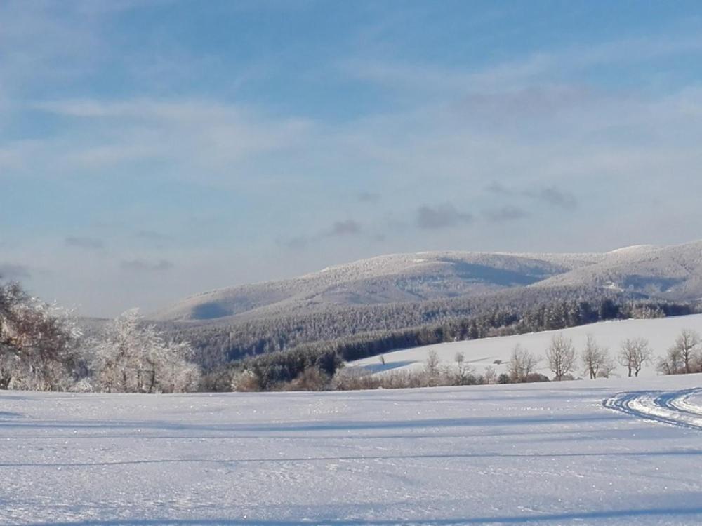 Rodinny Apartman 3+1 Horni Mesto Zewnętrze zdjęcie